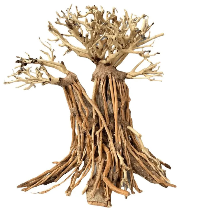aqua bonsai tree for sale Buy Aquascaping Handmade Aquatic Bonsai Driftwood Tree – ABQUATICS
