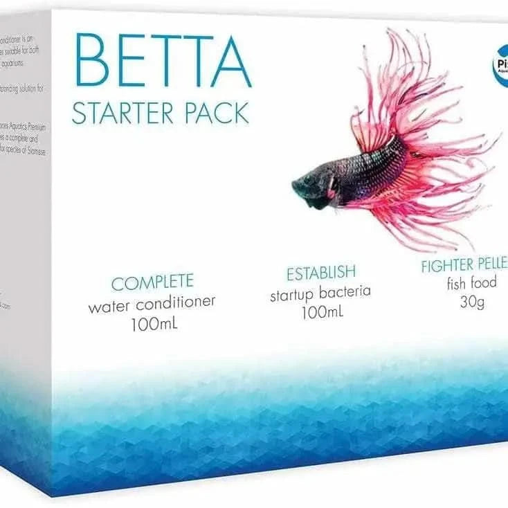 Buy Betta Starter Pack L fl2 on Sale at Abquatics ABQUATICS