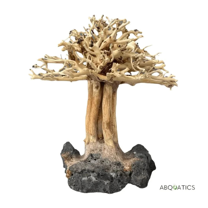 bonsai tree aquarium wood Buy Bonsai Tree for Aquascape Driftwood Live Aquarium Plant – ABQUATICS