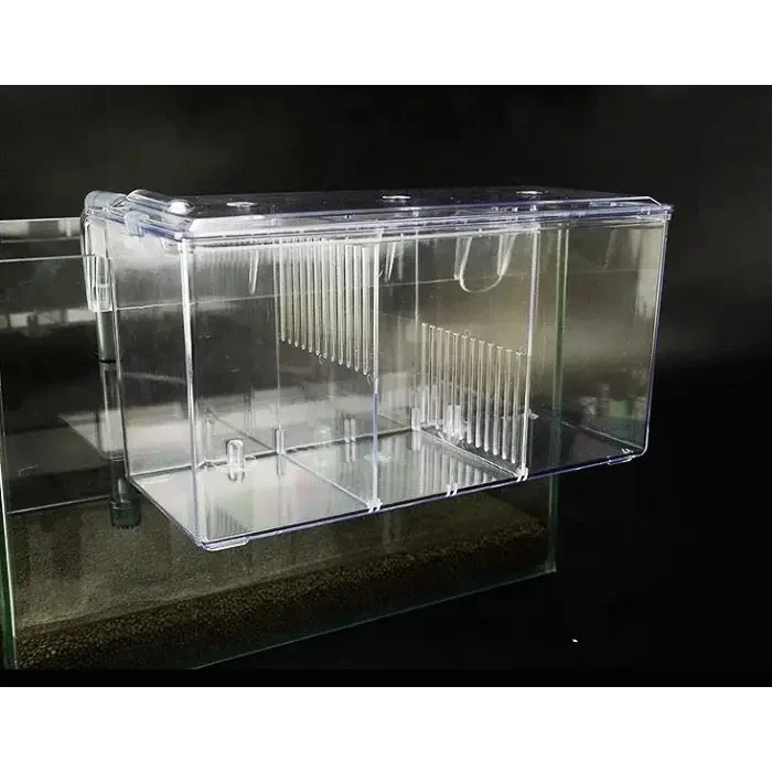 external fish breeder box Buy External Fish Breeder Box 25.5cm x 13cm x 13.5cm – ABQUATICS
