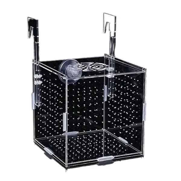 Buy Flatpack Arcylic Breeder Isolation Box 15cmx15cmx15cm ABQUATICS Buy Flatpack Arcylic Breeder Isolation Box 15cmx15cmx15cm ABQUATICS
