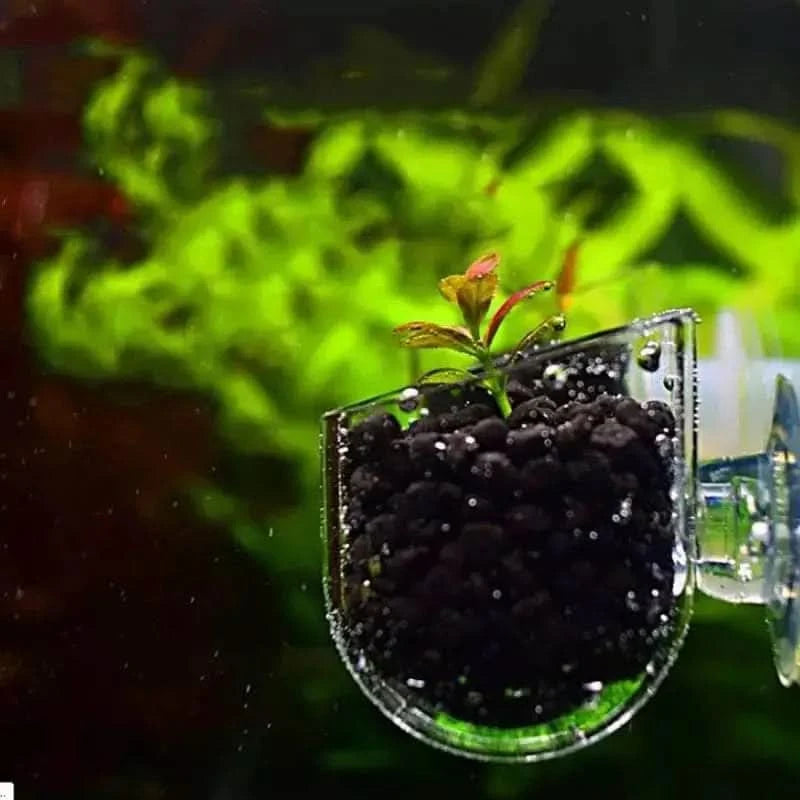 suction plant pot Buy Mini Clear Plant Pot with Suction Cup on Sale