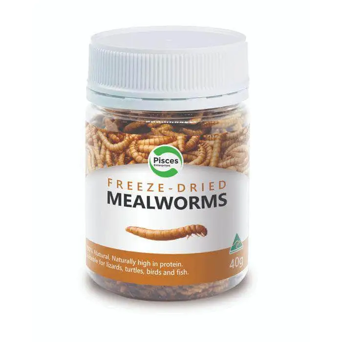 Buy Pisces Enterprises Freezed Dried Mealworms Jar 40g – ABQUATICS