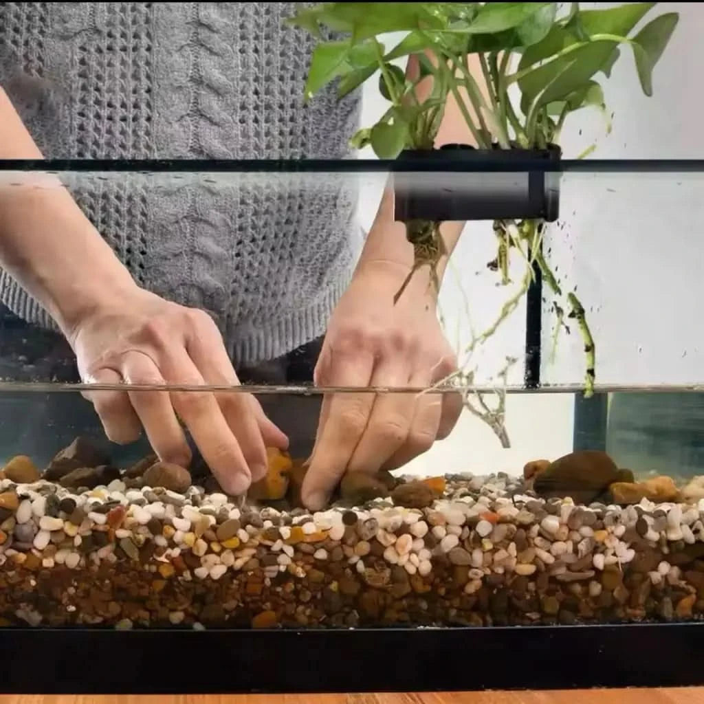 Buy Pothos Holder for Aquarium (5 Hole) on Sale